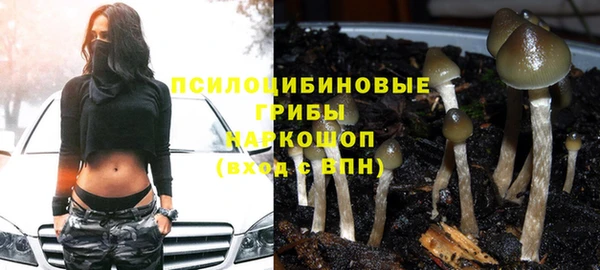 ПСИЛОЦИБИНОВЫЕ ГРИБЫ Балабаново