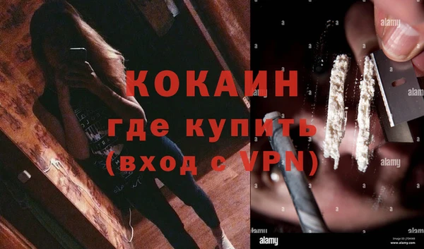 крисы Армянск