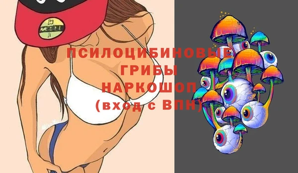 ПСИЛОЦИБИНОВЫЕ ГРИБЫ Балабаново