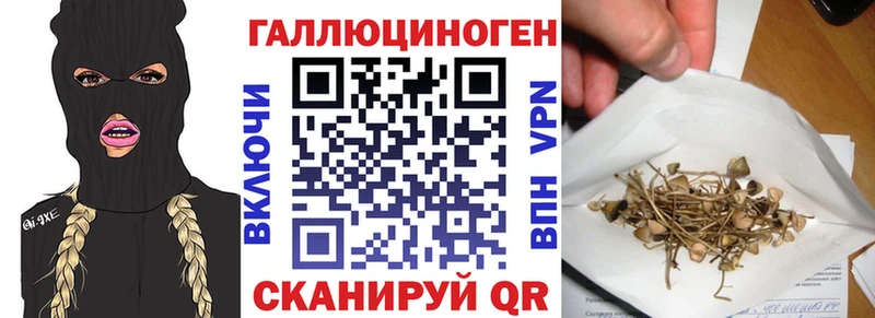 Галлюциногенные грибы Psilocybe  цены   Верхоянск 
